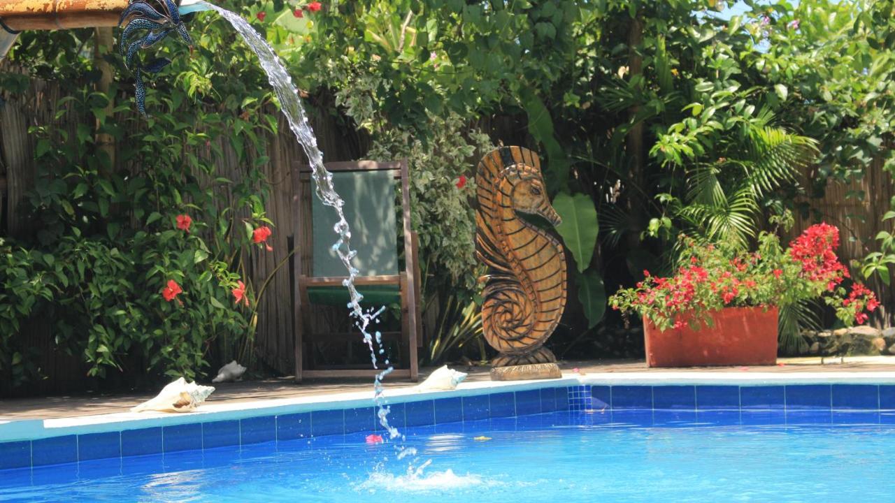 La Natura Hostel & Pool Palomino Bagian luar foto