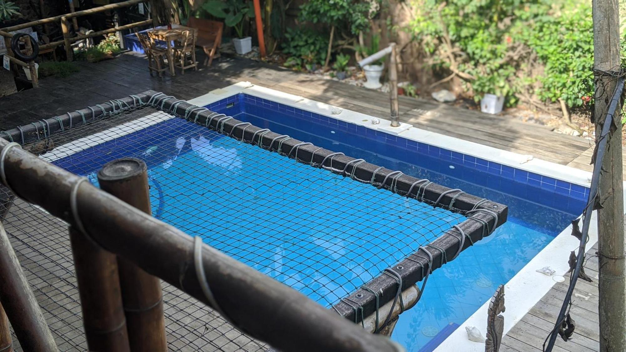 La Natura Hostel & Pool Palomino Bagian luar foto