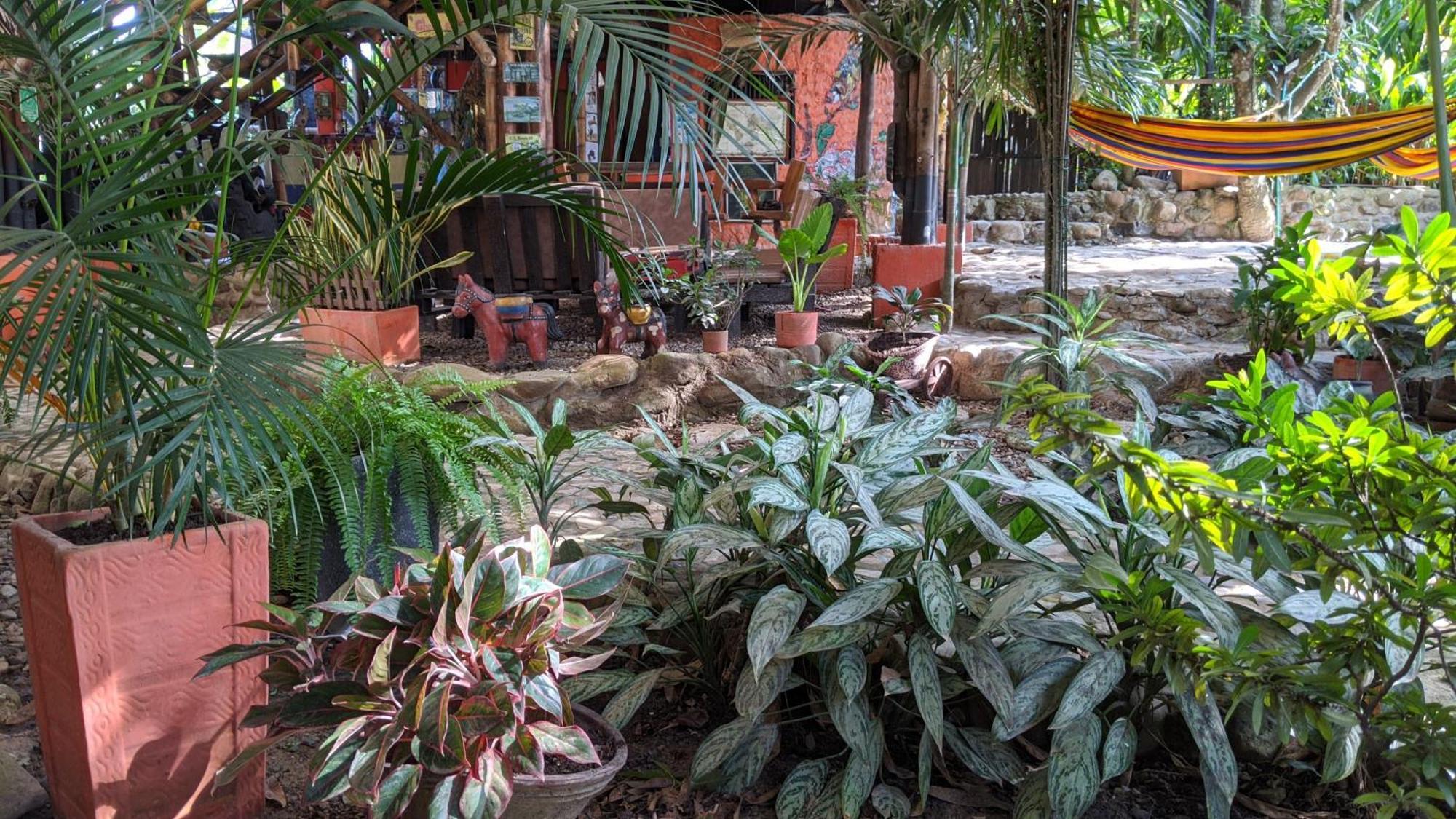 La Natura Hostel & Pool Palomino Bagian luar foto