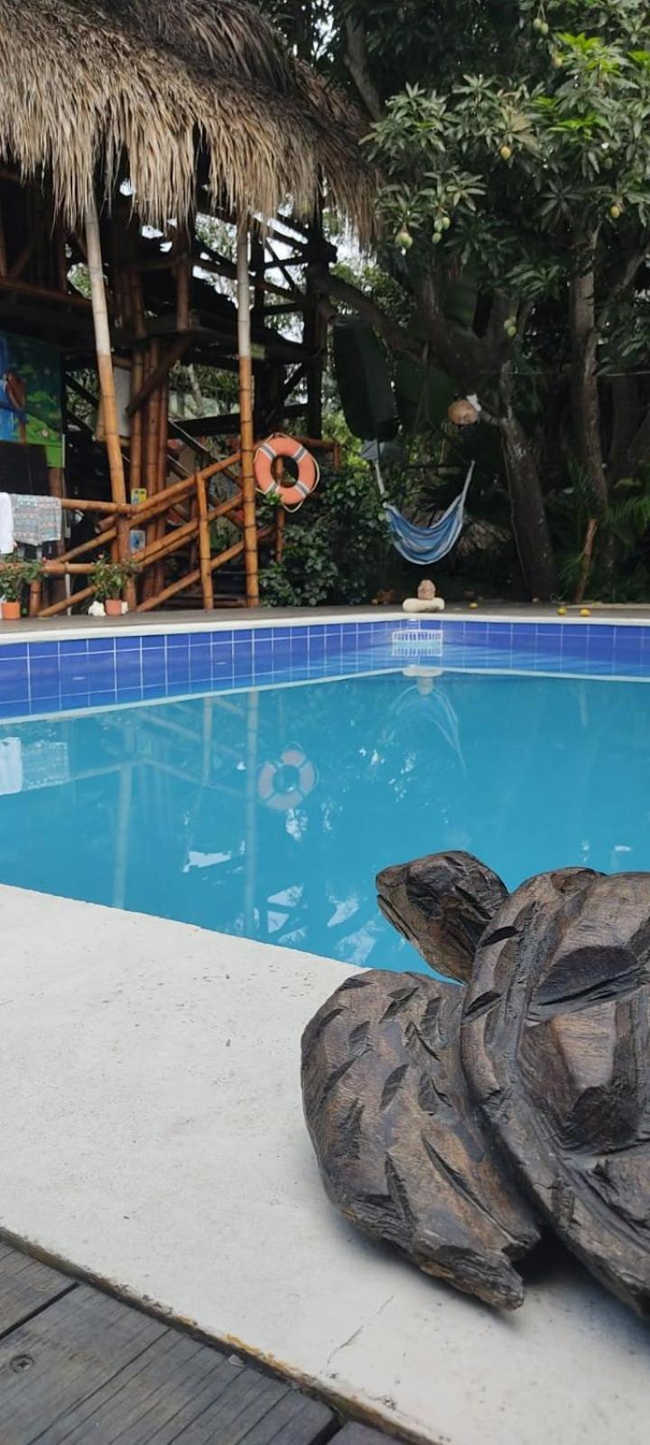 La Natura Hostel & Pool Palomino Bagian luar foto