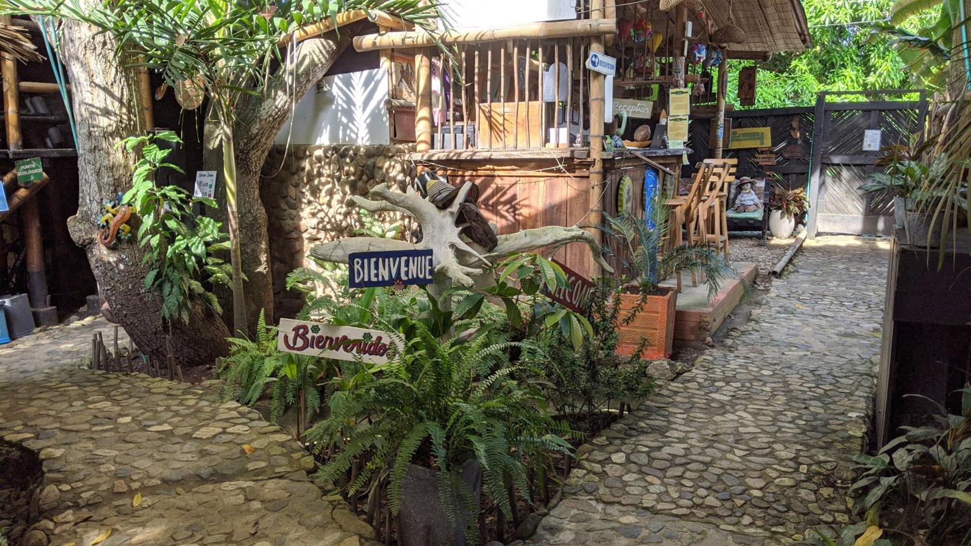 La Natura Hostel & Pool Palomino Bagian luar foto