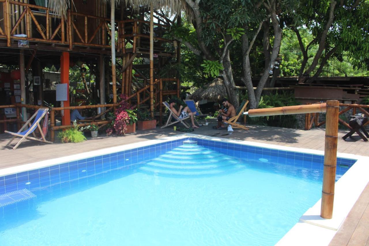 La Natura Hostel & Pool Palomino Bagian luar foto